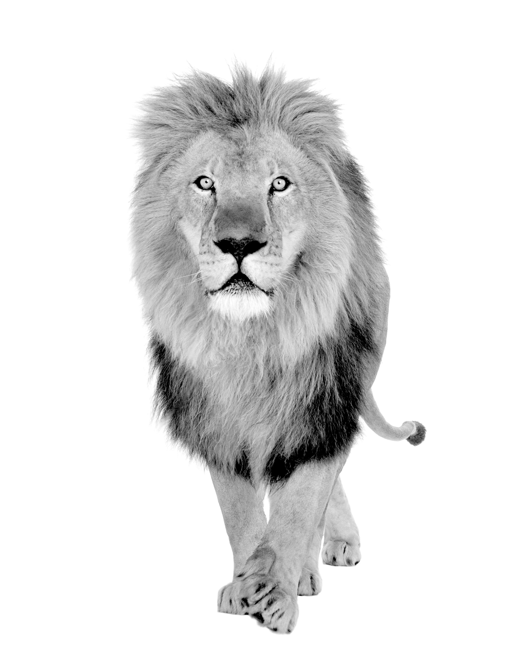 shutterstock_15358657