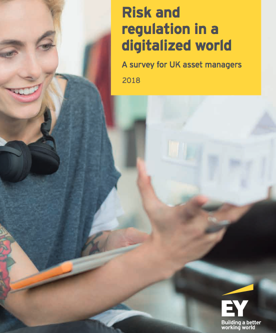 Risk and Regulation in a Digitalized World